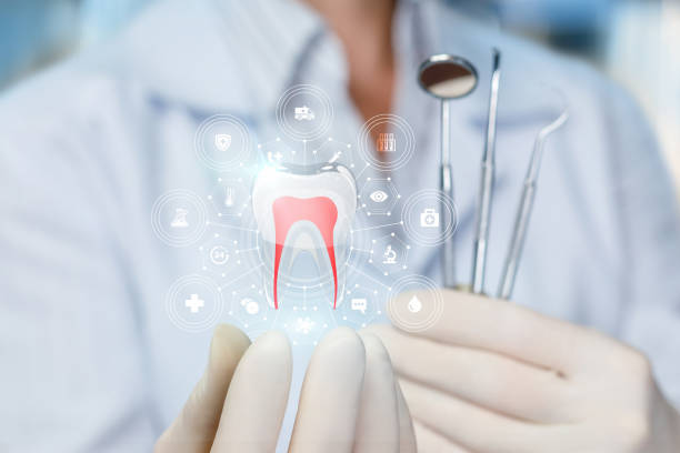 Best Dental Exams and Cleanings  in Jackson, WI